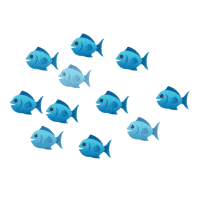 Turtle GIF